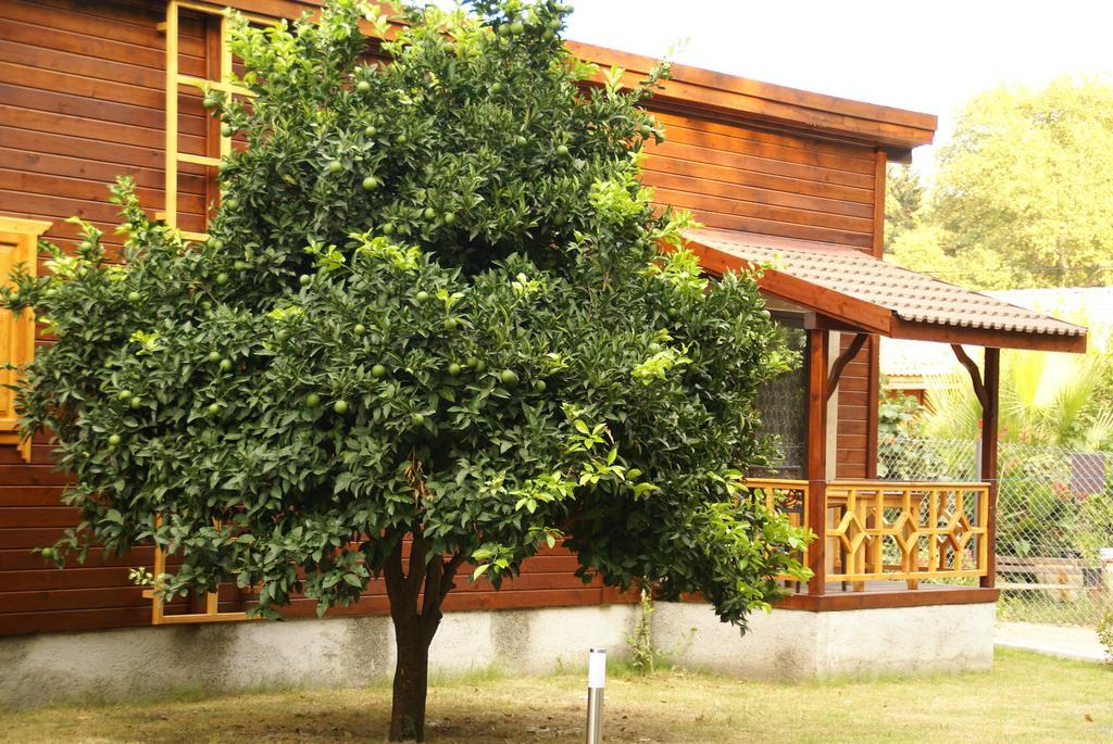 Maji Village Çıralı Luaran gambar