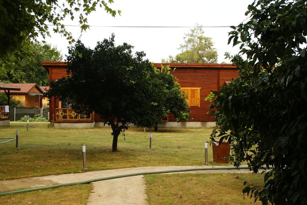 Maji Village Çıralı Luaran gambar