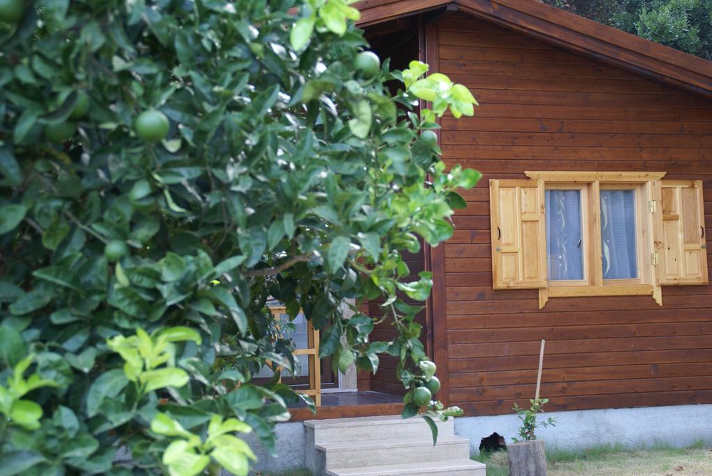 Maji Village Çıralı Luaran gambar