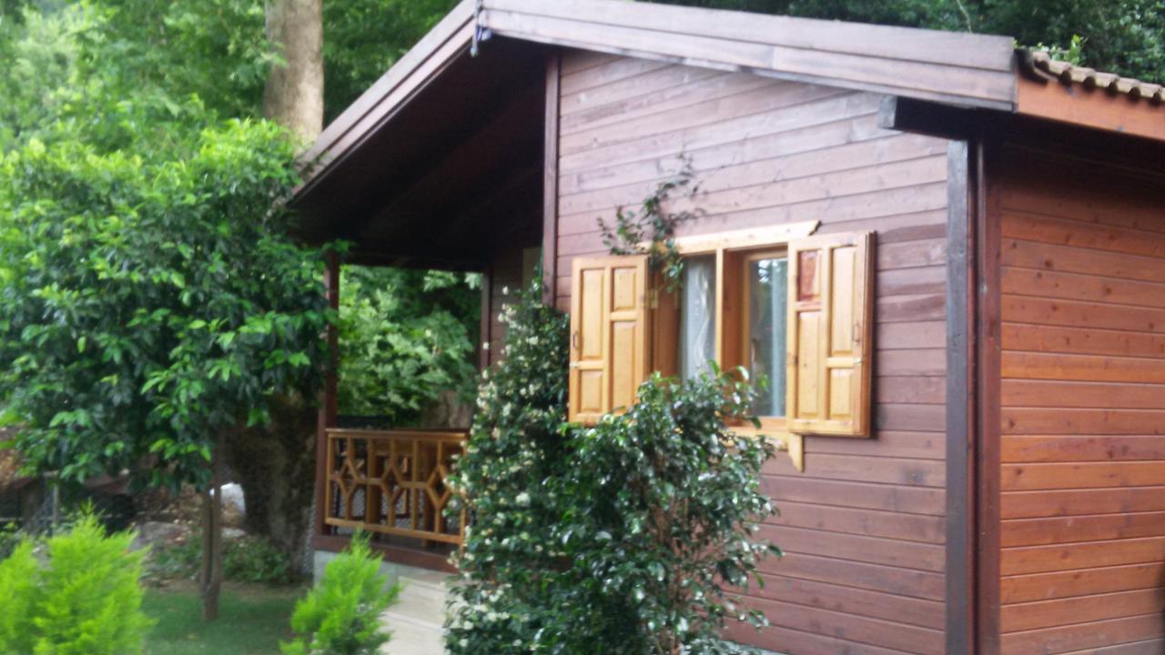 Maji Village Çıralı Luaran gambar