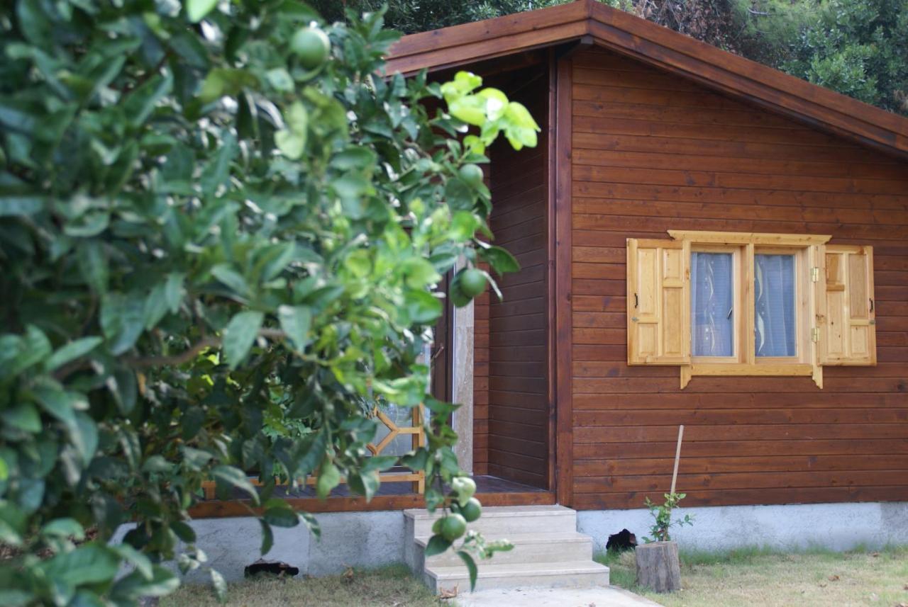 Maji Village Çıralı Luaran gambar
