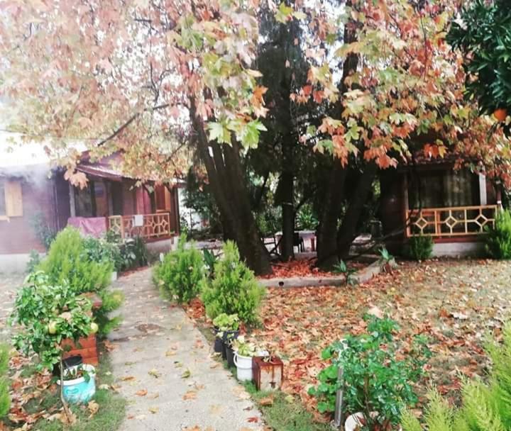 Maji Village Çıralı Luaran gambar